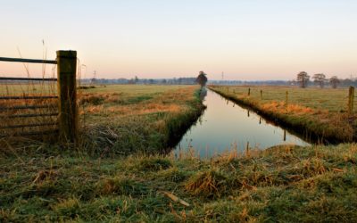Niederlande: Polder als Lebensprinzip